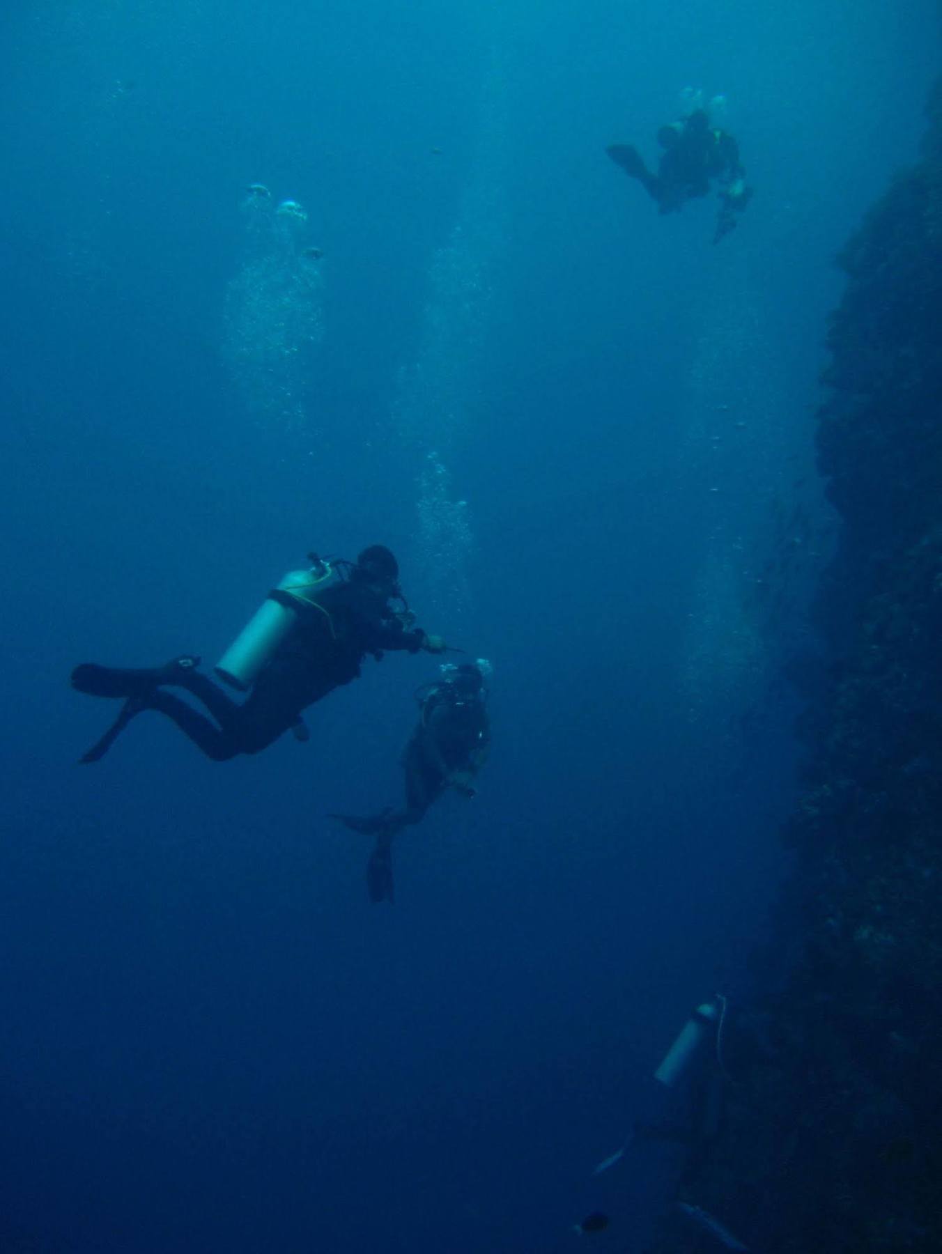 Guesthouse The 4 Fish Μανάντο Εξωτερικό φωτογραφία